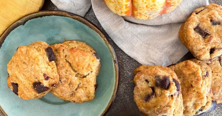Chocolate Chip Pumpkin Scones (no egg recipe)