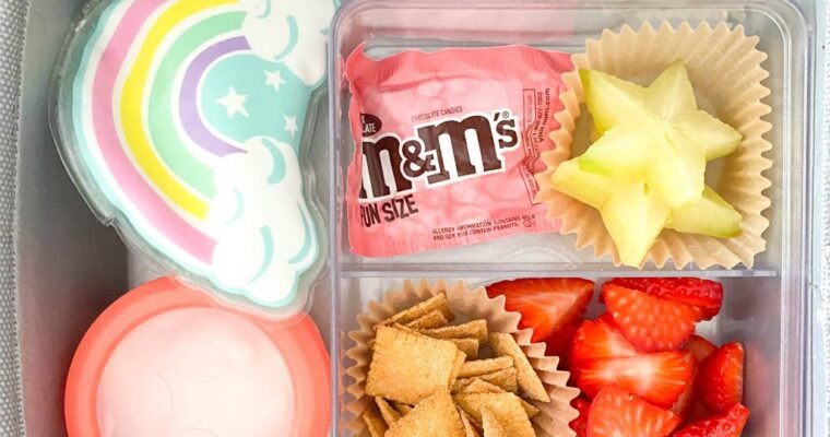 The Kiddo’s Lunchbox