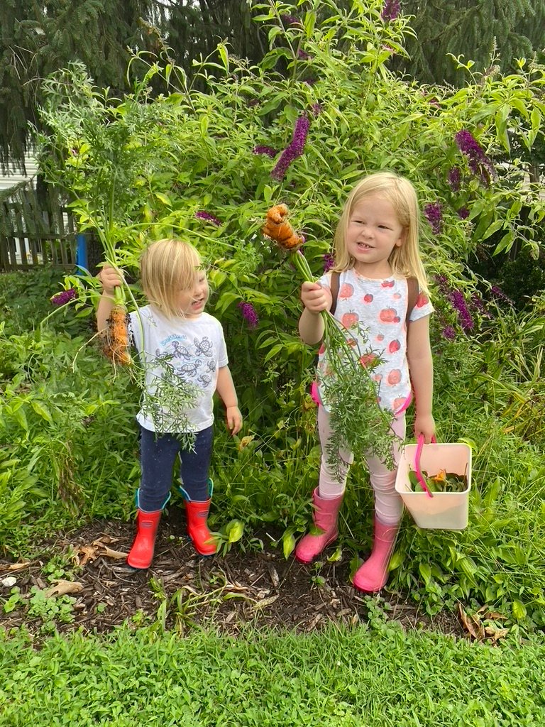 Easy Backyard Garden