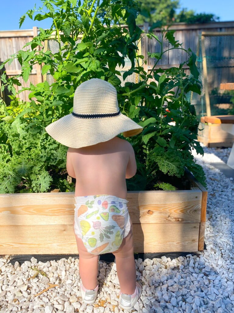 Easy Backyard Gardening for Beginners