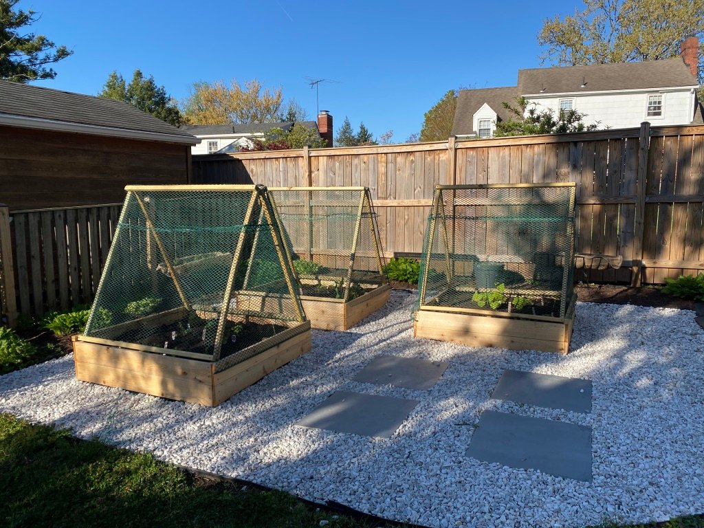 Easy Backyard Garden