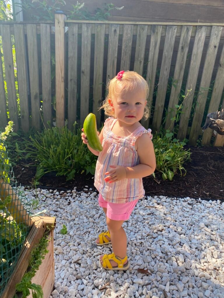 Easy Backyard Garden