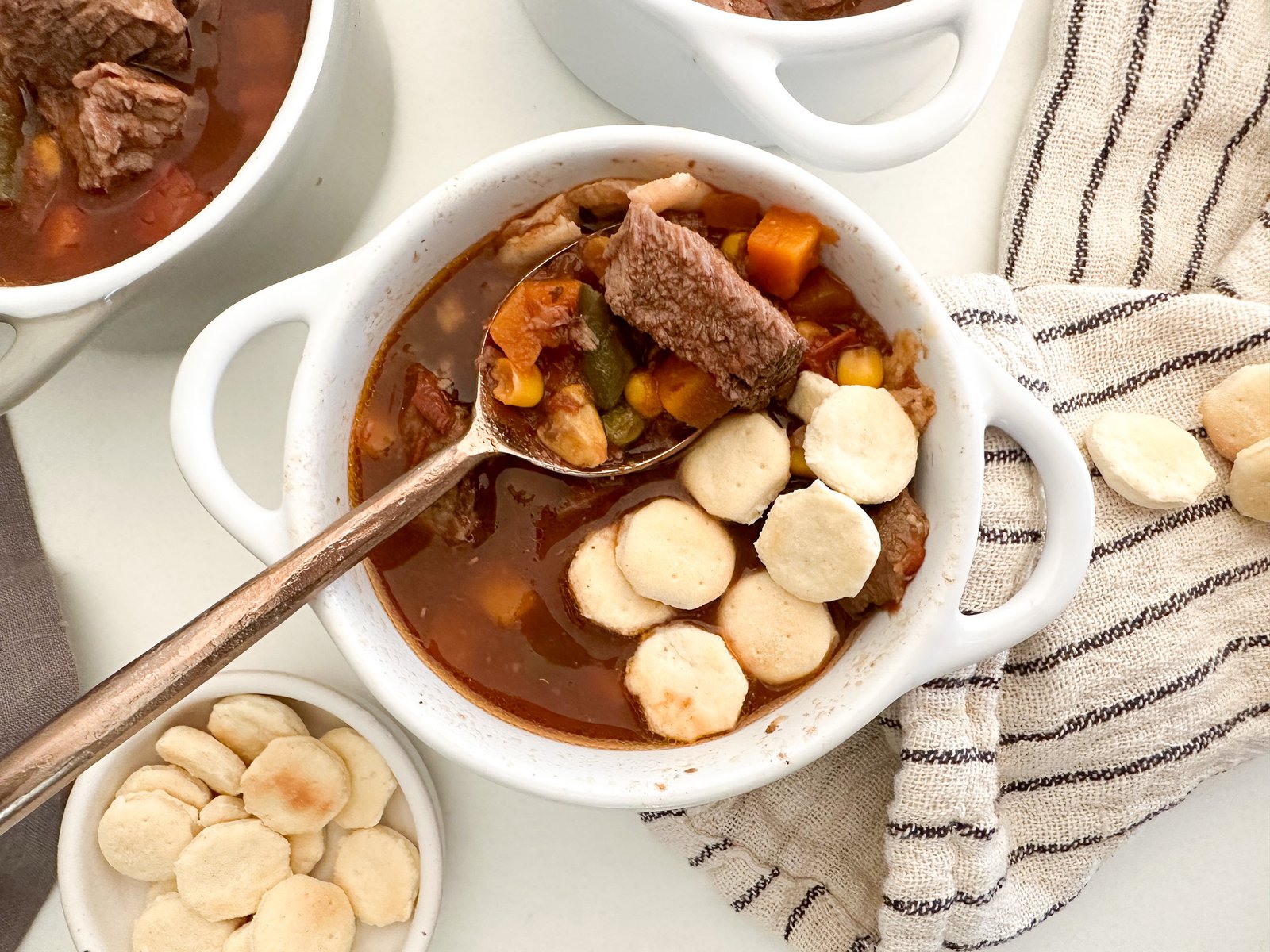 Vegetable Beef Soup